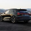 2023 Audi Q8 e-tron 发布, 纯电SUV从 e-tron 正式更名