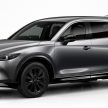 2023 Mazda CX-8 小改款日本面世, 外观小改+配备升级
