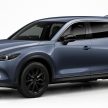 2023 Mazda CX-8 小改款日本面世, 外观小改+配备升级