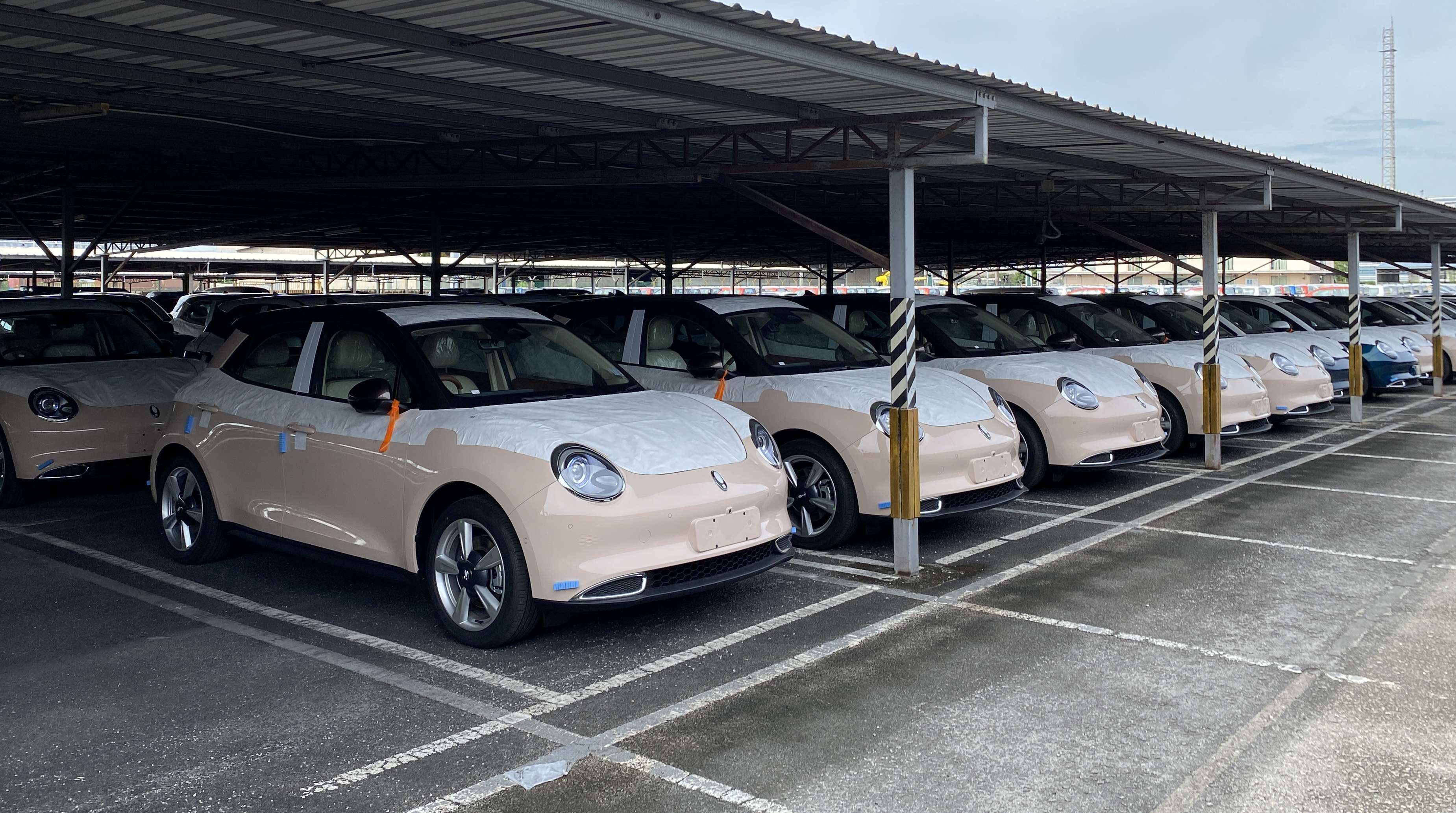 准备在近期交付？2022 Ora Good Cat 首批新车正式抵马