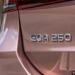 Mercedes-Benz EQA250 EV本地小幅涨价, 新售价29.7万