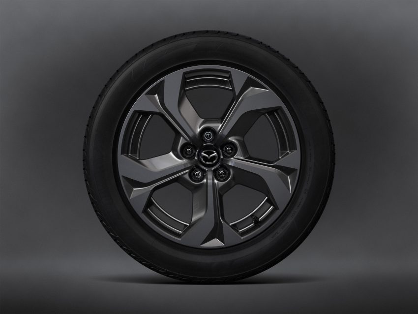 转子引擎复活! Mazda MX-30 R-EV 全球首发, 1L/100km 206496