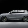 2024 Porsche Cayenne 小改款亮相, 外观小改科技感大增