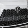 新增油电版! Lexus RX 500h F Sport 登陆大马, 售价50万