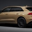 Audi Q8 与 SQ8 小改款发布, 全系电动化, 搭载微型油电