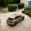 Audi Q8 与 SQ8 小改款发布, 全系电动化, 搭载微型油电