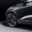 Audi Q6 与 SQ6 e-tron 首发, 最快4.2秒破百, 续航最长625公里, 21分钟可充电至80%, 与 Porsche Macan 同组底盘