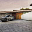 Audi Q6 与 SQ6 e-tron 首发, 最快4.2秒破百, 续航最长625公里, 21分钟可充电至80%, 与 Porsche Macan 同组底盘