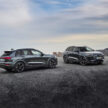Audi Q6 与 SQ6 e-tron 首发, 最快4.2秒破百, 续航最长625公里, 21分钟可充电至80%, 与 Porsche Macan 同组底盘