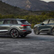 Audi Q6 与 SQ6 e-tron 首发, 最快4.2秒破百, 续航最长625公里, 21分钟可充电至80%, 与 Porsche Macan 同组底盘