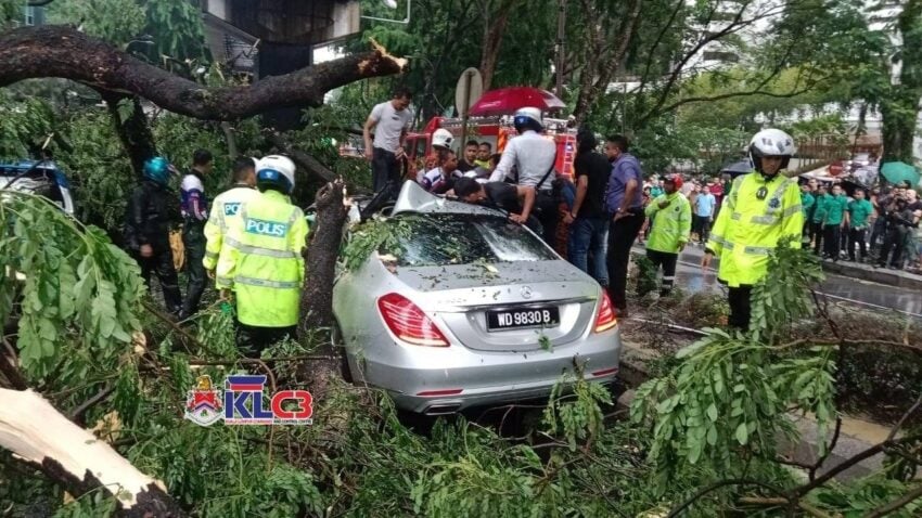 大雨导致隆市中心路段树倒压车, 多辆汽车不幸被严重压毁 257745