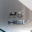 GWM Haval H6 HEV 本地正式发布, 只有油电版售价14万
