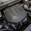 12月31日前购买并注册 Kia Carnival 即享5年柴油补贴, 总代理承诺无论柴油价格上涨或下降皆为每公升补贴RM1.05