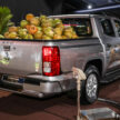 全新第六代 Mitsubishi Triton 正式于本地发布！共划分为五个等级，搭载2.4L新柴油引擎，售价从RM101,980起跳