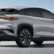 BYD Sealion 7 确认下周四正式发布, 五人座纯电SUV, 续航里程550公里, 530PS/690Nm, 4.5秒破百, 230kW DC快充