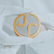 Jaguar 发布全新品牌标志, 象征企业迈进电动车企新时代