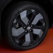 Toyota Urban Cruiser 首发, Suzuki eVitara 的孪生车款