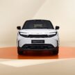 Toyota Urban Cruiser 首发, Suzuki eVitara 的孪生车款