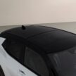 Toyota Urban Cruiser 首发, Suzuki eVitara 的孪生车款