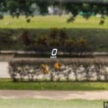 试驾：Mercedes-Benz EQE 350+ SUV，无痛点也没亮点