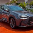 2025 Lexus NX 350h Luxury 实拍+简单试驾心得, 让人惊艳的动力表现, 依旧出色的驾驶与组装品质, 售价39.6万令吉