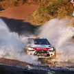 Loeb takes Rally Argentina win in WRC comeback run