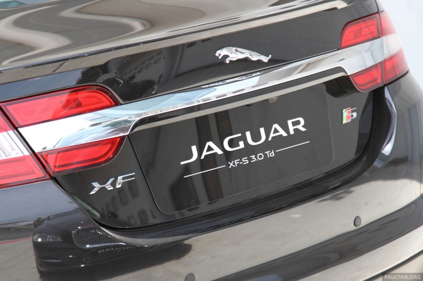 Jaguar Track Day Experience – big cats at Sepang 175872