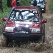 Car vs Wild: Following a Road Marked ‘Trouble’
