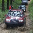 Car vs Wild: Following a Road Marked ‘Trouble’