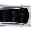Tesla Model S gets Mansory bodykit and wheels