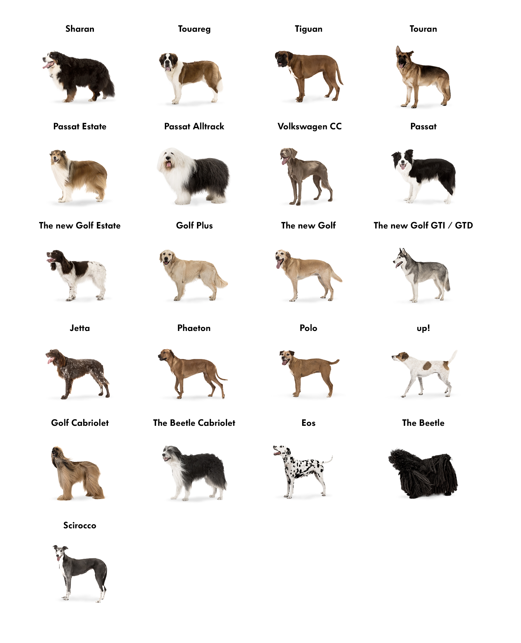 Породы собак каталог