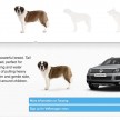 VIDEO: VW’s ‘Woofwagen’ ad campaign stars 36 dogs