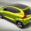 Datsun redi-GO Concept mini SUV debuts in Delhi