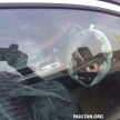 Chevrolet Malibu sighted at Naza Automall PJ
