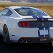 Ford Mustang GT350, GT350R recalled over fire risk; 8,026 units affected, stop sale order issued