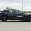 SPYSHOTS: Next-gen Porsche Panamera spotted