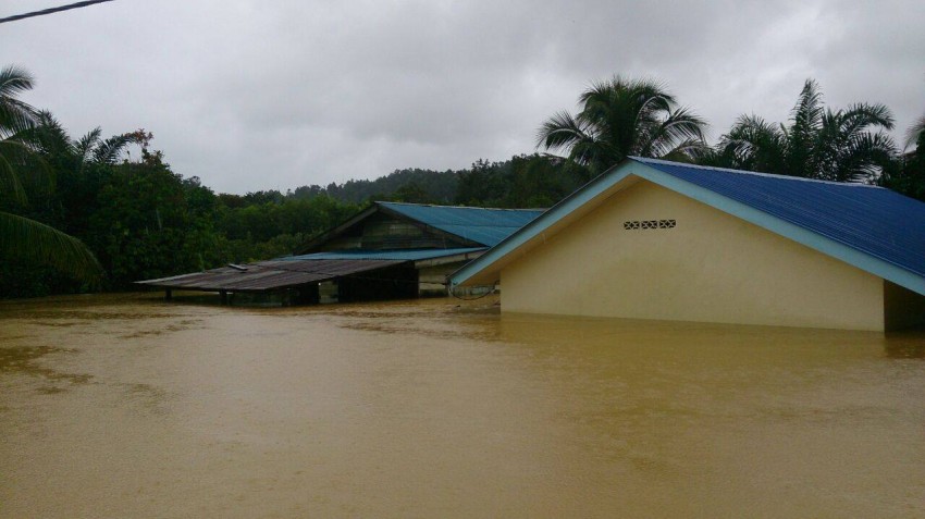 East Coast flood worsens – donate, help the victims 298744