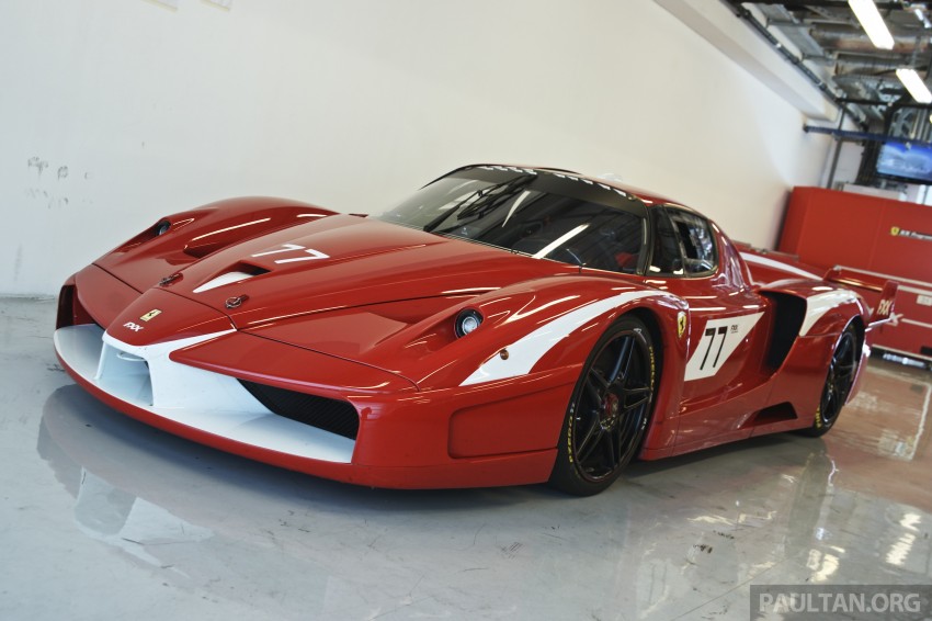 2014 Finali Mondiali Ferrari – <em>tifosi</em> dream come true 297431