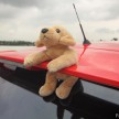 What drives us – personal cars of the paultan.org crew