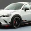 Mazda CX-3 Racing Concept at 2015 Tokyo Auto Salon