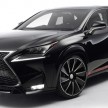 Lexus NX gets the Wald treatment, darkness ensues