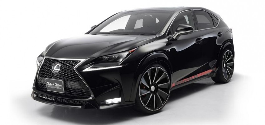 Lexus NX gets the Wald treatment, darkness ensues 325855