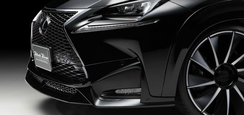 Lexus NX gets the Wald treatment, darkness ensues 325859
