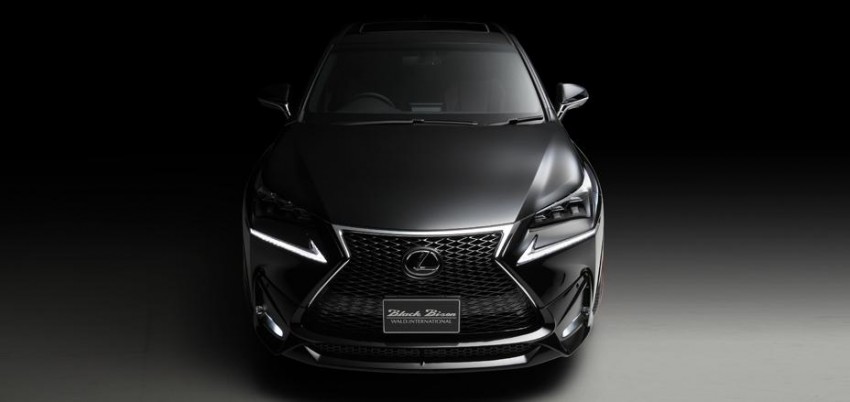 Lexus NX gets the Wald treatment, darkness ensues 325851