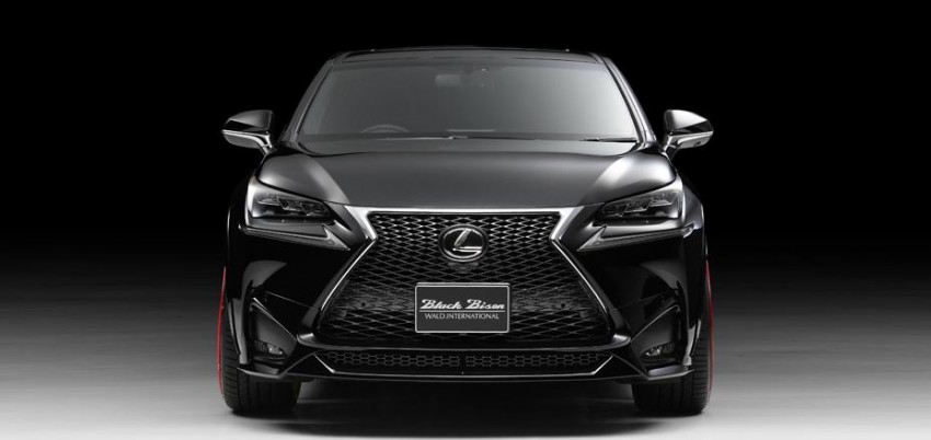 Lexus NX gets the Wald treatment, darkness ensues 325852