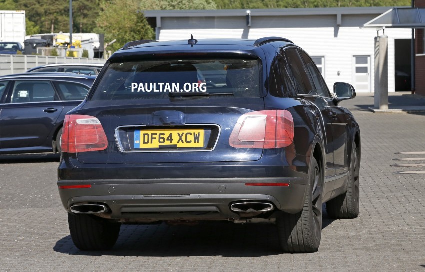 SPYSHOTS: Bentley Bentayga – light on the disguise 341295