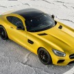 Wald Black Bison kit for Mercedes-AMG GT revealed