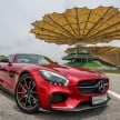 AMG GT roadster confirmed, set for launch next year