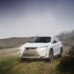 MEGA GALLERY: Lexus RX 350 and RX 450h variants