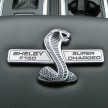 Shelby F-150 pick-up truck debuts at SEMA; 700 hp